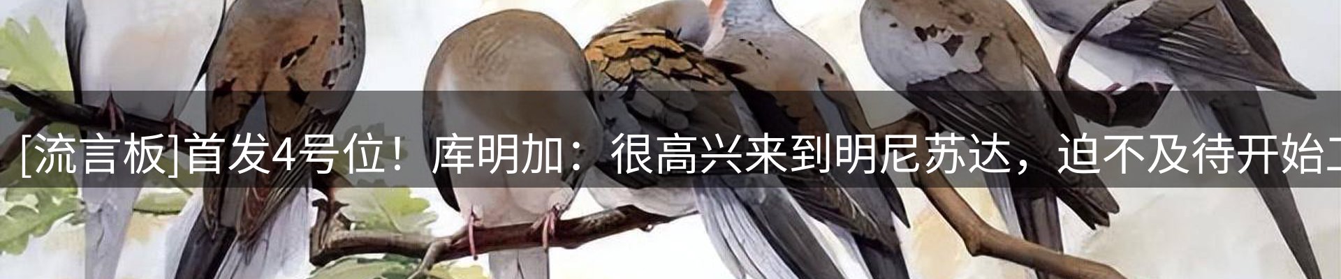 行业盘点